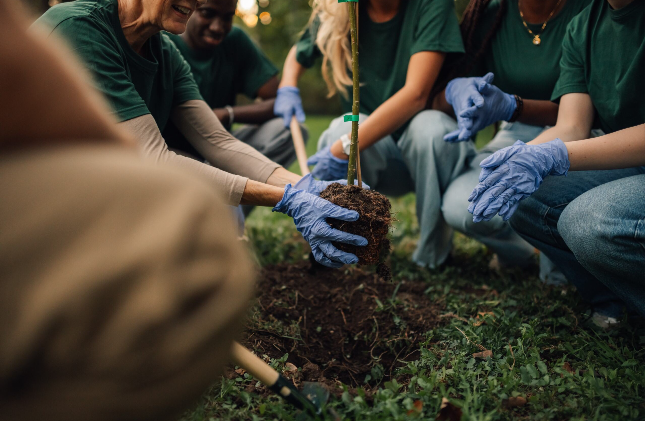 Learn more about Collective Impact